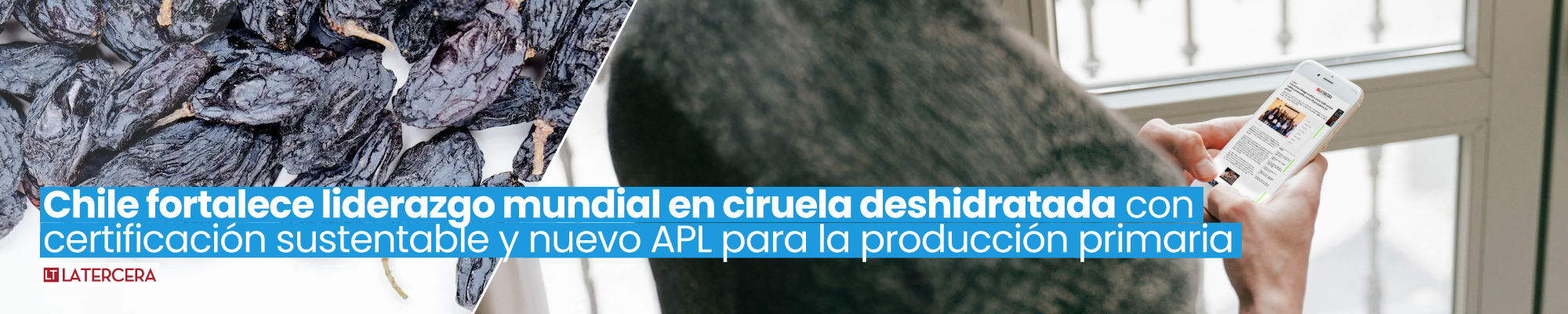 APL